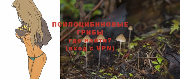 шишки Алексеевка