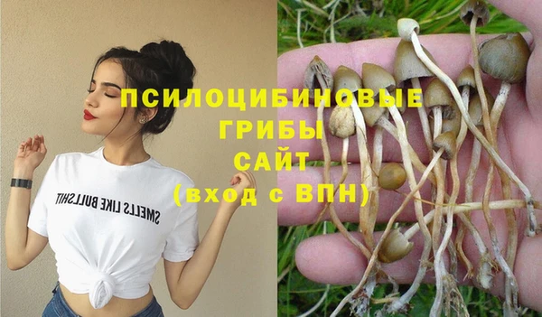 кокс Алзамай